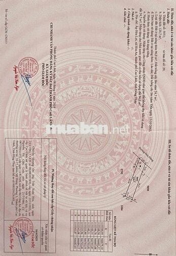 CẦN BÁN ĐẤT NỀN LỘ HOÀ ĐÔNG P CAO LÃNH ĐỒNG THÁP