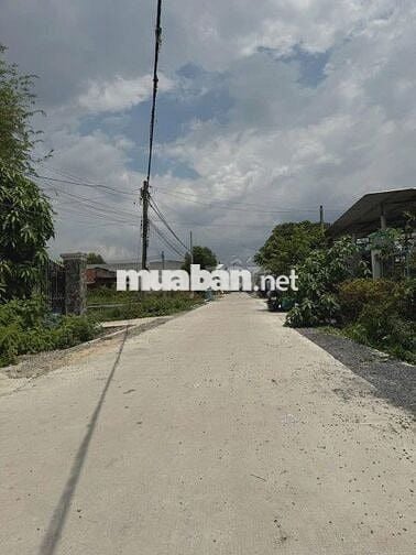 Bán dãy trọ 10 phòng : 287m2 (5x52) - Trung An - Củ Chi . Giá 2 tỷ 700