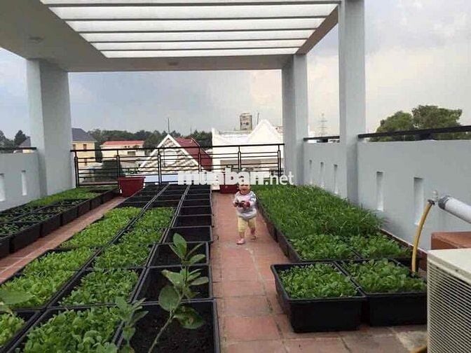 Nhà lớn hẻm to,Trương Thị Ngào,5x20(100m2),4T(6PN)chỉ 6,8 ty