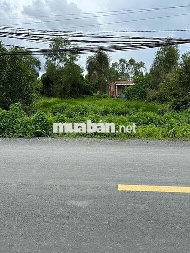 Đất Mỹ Hạnh Nam 7x55m giá 2ty650 đường nhựa