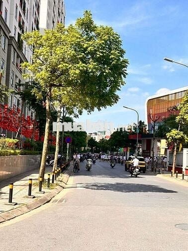 Bán chân đế Hà Nội Home Land 50m –, vừa ở vừa KD. Giá hơn 4tỷ