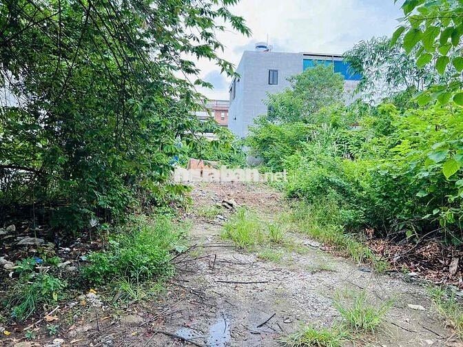 🏡 BÁN ĐẤT 112.5m² – MT 5m – CÁI TẮT, AN ĐỒNG, AN DƯƠNG – GIÁ 4,48 TỶ