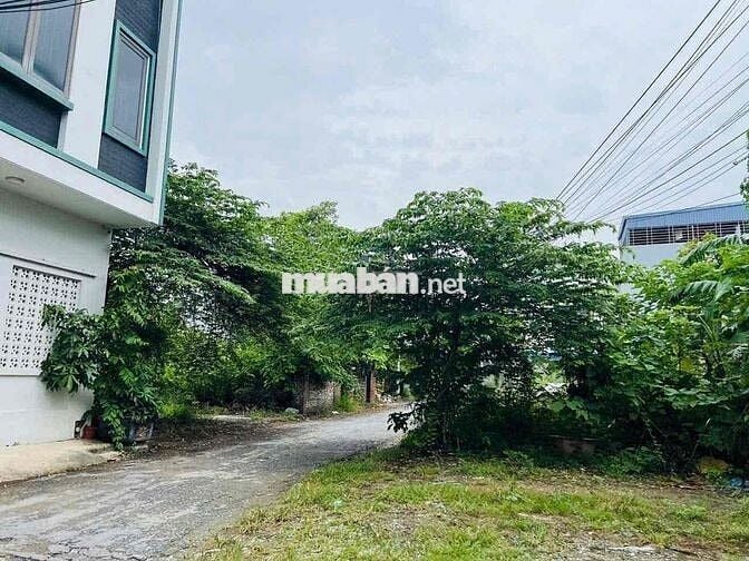 🏡 BÁN ĐẤT 112.5m² – MT 5m – CÁI TẮT, AN ĐỒNG, AN DƯƠNG – GIÁ 4,48 TỶ