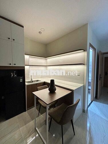 Căn hộ 1PN  45m2 ban công thoáng nội thất cao cấp ở Huỳnh Văn Bánh