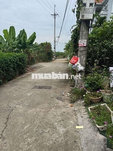 Bán đất Cự Khối 52m² MT 4m, ô tô 16 chỗ vào tận nơi – Giá 6,5 tỷ
