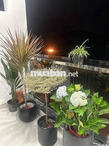 Căn hộ 1PN  45m2 ban công thoáng nội thất cao cấp ở Huỳnh Văn Bánh