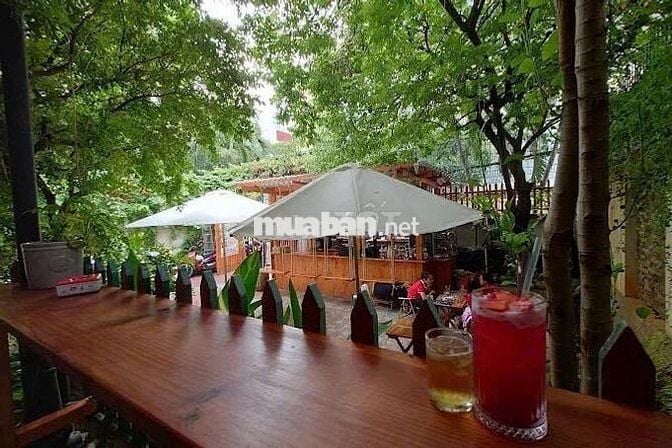 CHO THUÊ BIỆT THỰ NGAY VẠN HẠNH MALL,Q10,NGANG 12M GIÁ TỐT,PHÙ HỢPCAFE