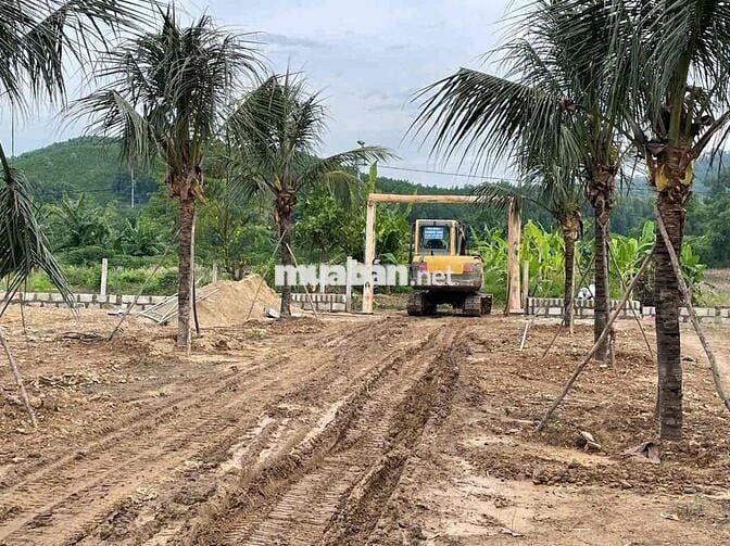 🌿 BÁN ĐẤT FARM HÒA PHÚ – GẦN ĐƯỜNG VÀNH ĐAI 🌿 	•	Đất ở: 720m² – sổ riê