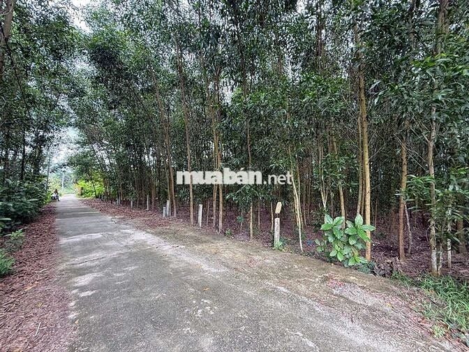 Bán lô đất diện tích lớn gần 1000m2 tại xã Hòa Vang