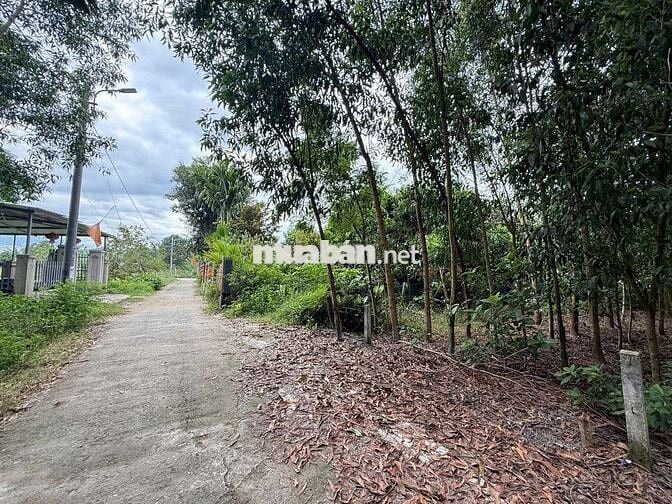 Bán lô đất diện tích lớn gần 1000m2 tại xã Hòa Vang