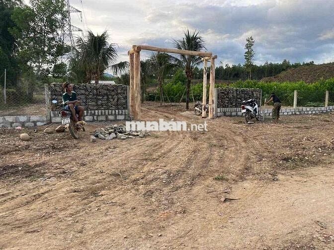 🌿 BÁN ĐẤT FARM HÒA PHÚ – GẦN ĐƯỜNG VÀNH ĐAI 🌿 	•	Đất ở: 720m² – sổ riê