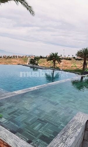 Xuất cảnh cần bán nền biệt thự view biển Mũi Né
