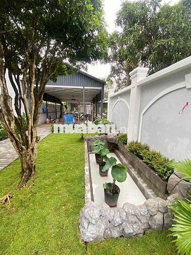 NHÀ SÂN VƯỜN MẶT TIỀN ĐƯỜNG NHỰA GẦN CẦU CÁI CAM 2 TRƯỜNG AN