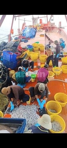 Tuyển nam lao động đi biển - làm việc tại Kiên giang 