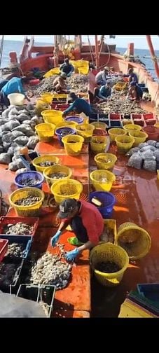 Tuyển nam lao động đi biển - làm việc tại Kiên giang 