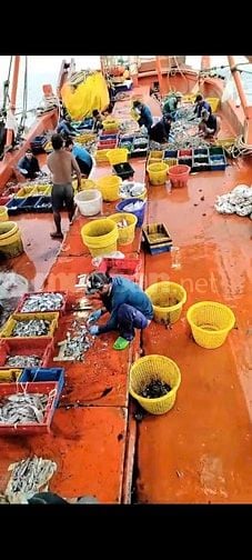 Tuyển nam lao động đi biển - làm việc tại Kiên giang 