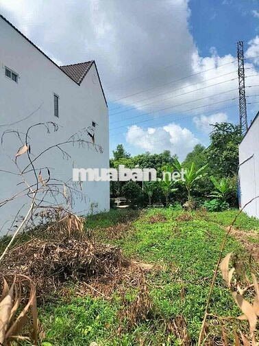 CẦN BÁN ĐẤT THỔ CƯ KHU NHÀ Ở KIM CƯƠNG PHƯỜNG TÂN HẠNH, T. VĨNH LONG