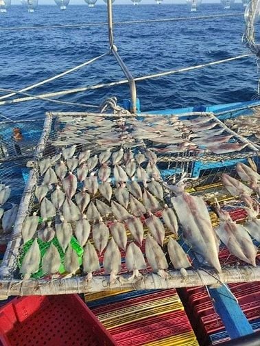 Tuyển nam lao động đi biển - làm việc tại Kiên giang 