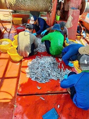 Tuyển nam lao động đi biển - làm việc tại Kiên giang 