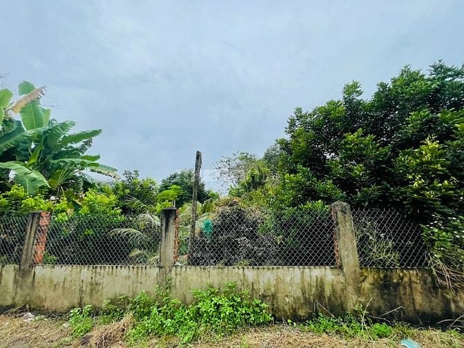 THANH LÝ NHÀ VƯỜN (4.690M2) THỔ CƯ-SHR- CÓ SẴN CÂY ĂN TRÁI, DÂN ĐÔNG