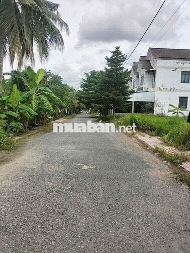 CẦN BÁN ĐẤT THỔ CƯ KHU NHÀ Ở KIM CƯƠNG PHƯỜNG TÂN HẠNH, T. VĨNH LONG