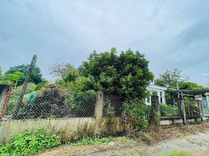 THANH LÝ NHÀ VƯỜN (4.690M2) THỔ CƯ-SHR- CÓ SẴN CÂY ĂN TRÁI, DÂN ĐÔNG