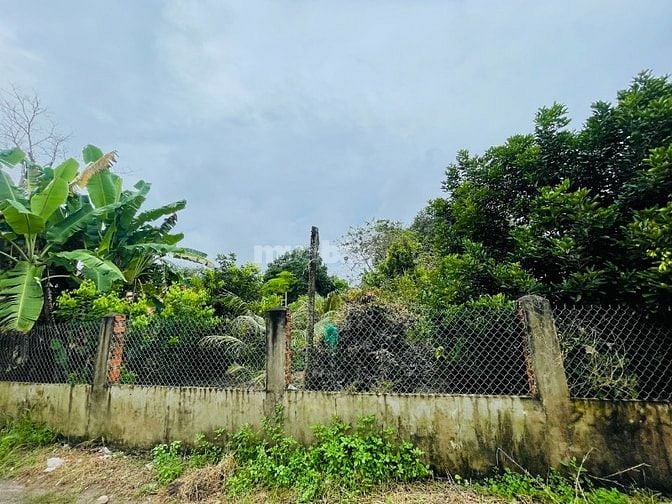 THANH LÝ NHÀ VƯỜN (4.690M2) THỔ CƯ-SHR- CÓ SẴN CÂY ĂN TRÁI, DÂN ĐÔNG