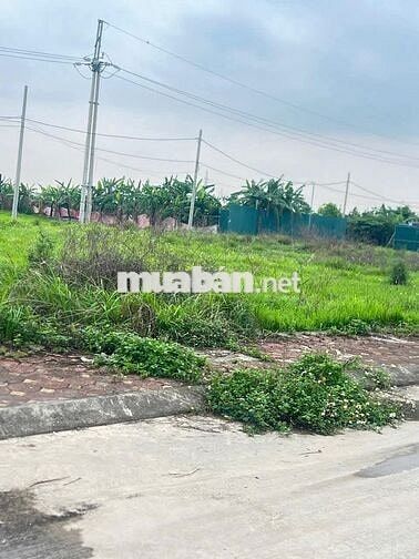 Bán gấp đất  Hoàng Xá Khánh hà ,ô tô ,phân lô ,vỉa hè giá 5.5 tỷ