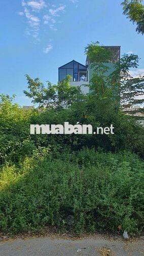 Giá *** Tại Thời Điểm Hiện Tại