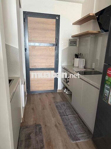 Cho thuê căn hộ chung cư Tân Mỹ full nội thất