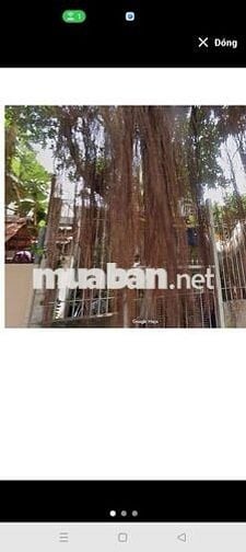 NHÀ 80M2 CẤP 4 MỚI ĐẸP CÓ 3 PHÒNG ĐỀU CÓ GÁC CÓ SÂN TO CÂY SI TRƯOC