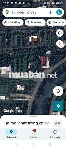 Cần bán vườn đang trồng sầu riêng đất mới cải tạo rất đẹp
