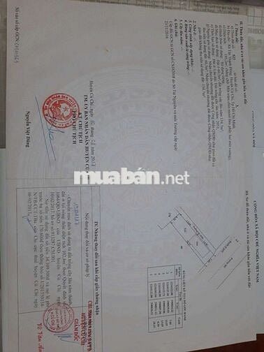 Ccg nhà  xã Tân Thạnh Đông huyện Củ Chi TPHCM (