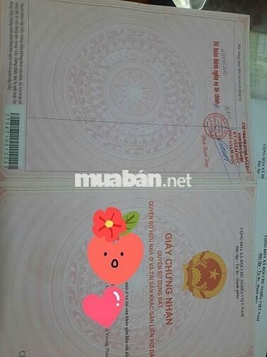 Ccg nhà  xã Tân Thạnh Đông huyện Củ Chi TPHCM (