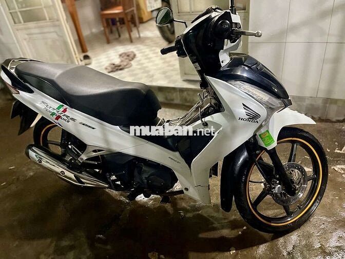 Fu led 2024 chính chỉ kí
