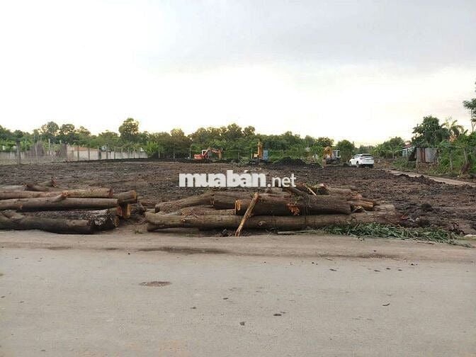 Định cư_bán Rẻ đất Kho Xưởng có 62tỷ/4500m2 Hiếm Tân Liễu Hưng Long BC
