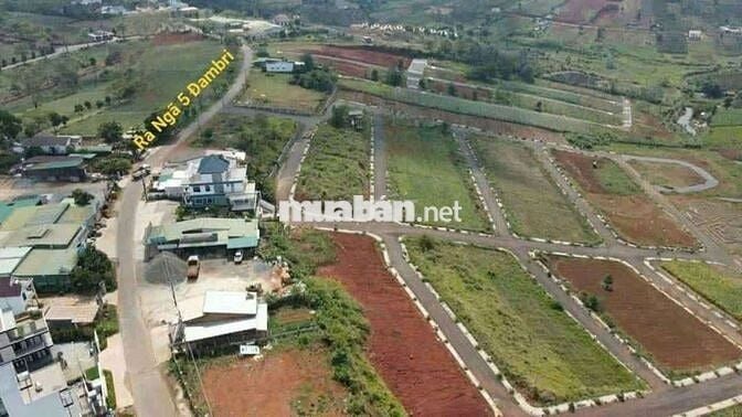 ĐẤT NỀN GIÁ NGỘP NGAY ĐỒI CHÈ TÂM CHÂU