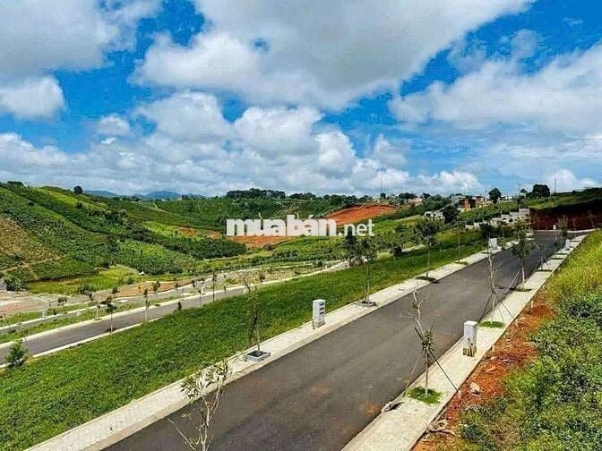 ĐẤT NỀN GIÁ NGỘP NGAY ĐỒI CHÈ TÂM CHÂU