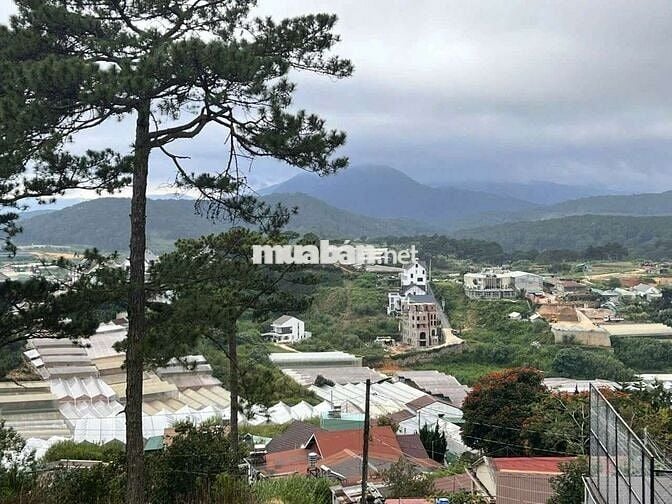 Đất góc 2MT Lê Hồng Phong 583m2
