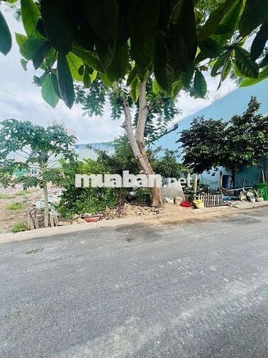 🌷  BÁN ĐẤT HẺM XE TẢI ĐƯỜNG AN DƯƠNG VƯƠNG BÌNH TÂN ( 50m2 )
