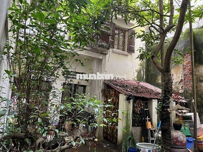 Bán 80m2 đất ngõ 15 Tạ Quang Bửu