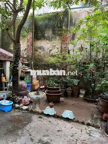 Bán 80m2 đất ngõ 15 Tạ Quang Bửu