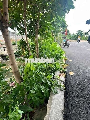 🌷  BÁN ĐẤT HẺM XE TẢI ĐƯỜNG AN DƯƠNG VƯƠNG BÌNH TÂN ( 50m2 )