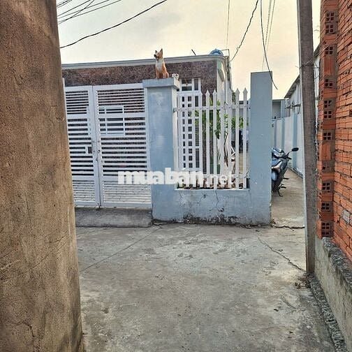 Bán Gấp Nhà Trọ Giá Rẻ 230m2, 5 căn trọ, 1 nhà ở 100m2, tp Hồ Chí Minh