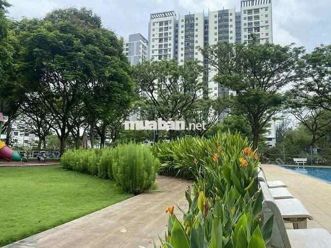 Chủ ngộp cần bán gấp.
- Căn hộ 3 phòng ngủ - 2WC. Chung cư Eco Xuân -