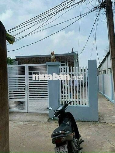 Bán Gấp Nhà Trọ Giá Rẻ 230m2, 5 căn trọ, 1 nhà ở 100m2, tp Hồ Chí Minh