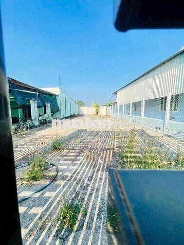 ĐẤT MẶT TIỀN BA SA 8mX29m FULL THỔ XÂY RÀO SẴN SHR 770TR CÒN GIẢM NHÉ