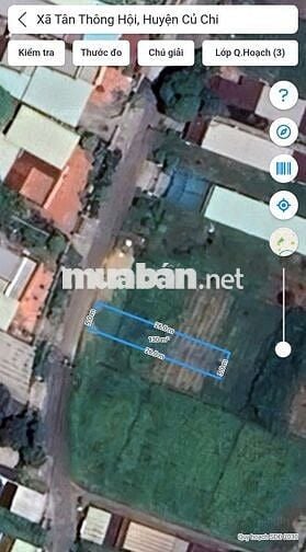 Đất ngộp ngân Tân Thông Hội 130m2 full thổ đi QL22 chỉ 450m giá 1,4 tỷ