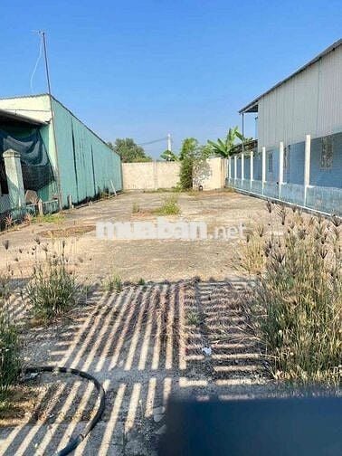 ĐẤT MẶT TIỀN BA SA 8mX29m FULL THỔ XÂY RÀO SẴN SHR 770TR CÒN GIẢM NHÉ