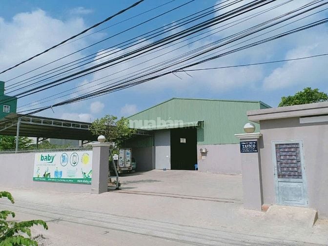 cho thuê kho xưởng 272/ Quốc lộ 1A, P. An Phú Đông, Q.12_DT:1.050m2
